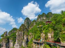 广西大瑶山国家级自然保护区-金秀