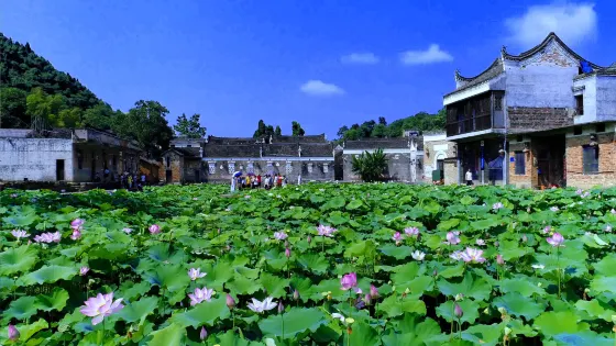 新田龍家大院