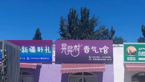 晃晃村薰衣草美博館（薩魯曼芳香廳）