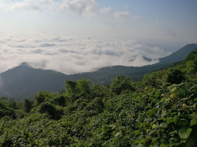太阳山旅行图片 2