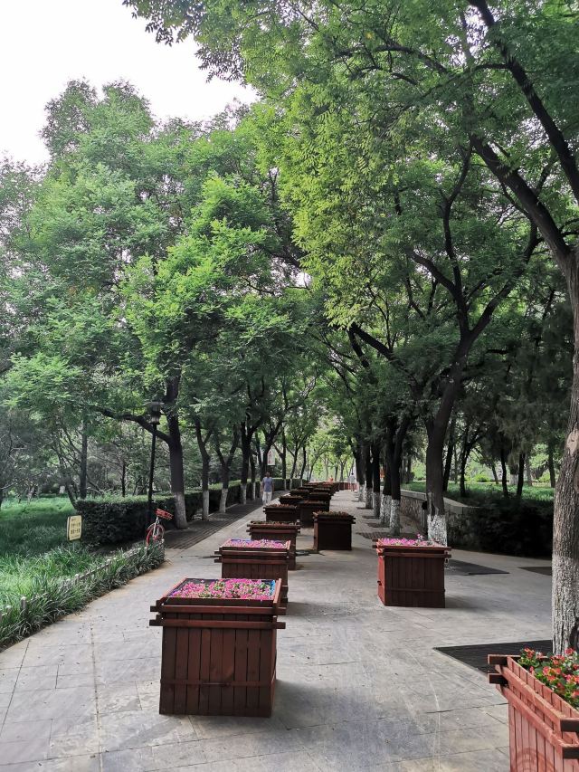 凤凰山公园旅行图片 1