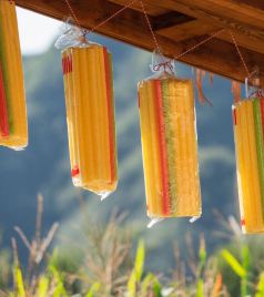 易县游记图文-10.1欢乐遛娃儿最佳打卡点——玉米冒险村去撒欢