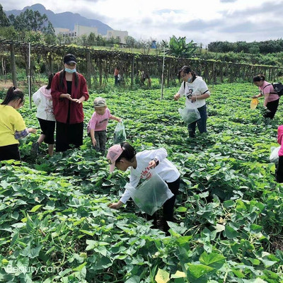 福州相思岭10月份生态特色餐全面升级,我们又来打卡了
