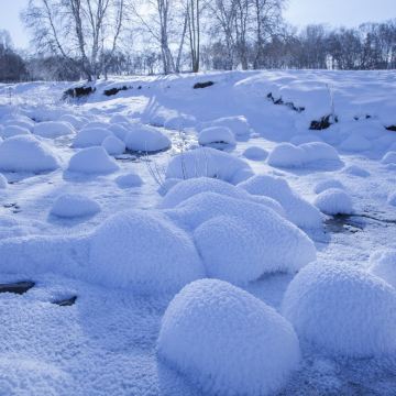 乌兰布统1日游【全程商务车 司机兼向导 独立成团 随走随停】