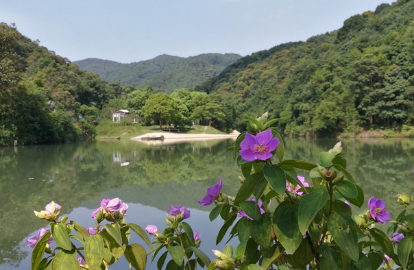 世间香境·七溪地