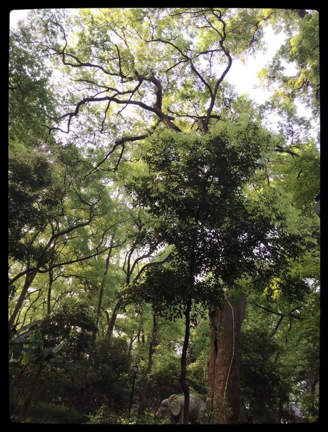 南华禅寺旅行图片 7