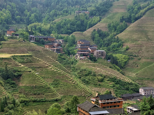 【廣西 - 桂林1】壯觀的龍脊梯田,享受金坑大寨瑤族農家樂
