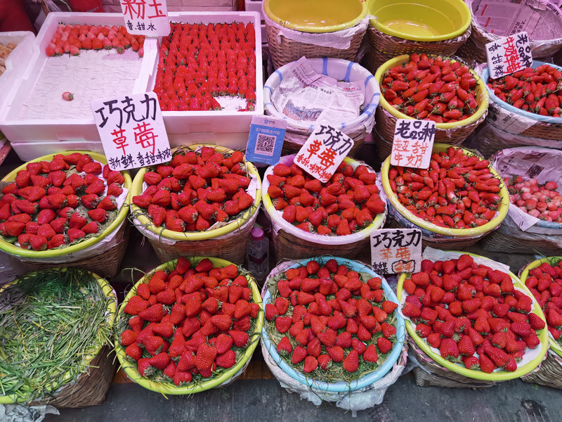 昆明旅游网