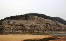 伊河-洛阳-飞驰的smart