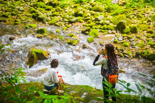 绿树，碧水，清凉，一条顶级的徒步避暑峡谷，暑假张家界金鞭溪走起