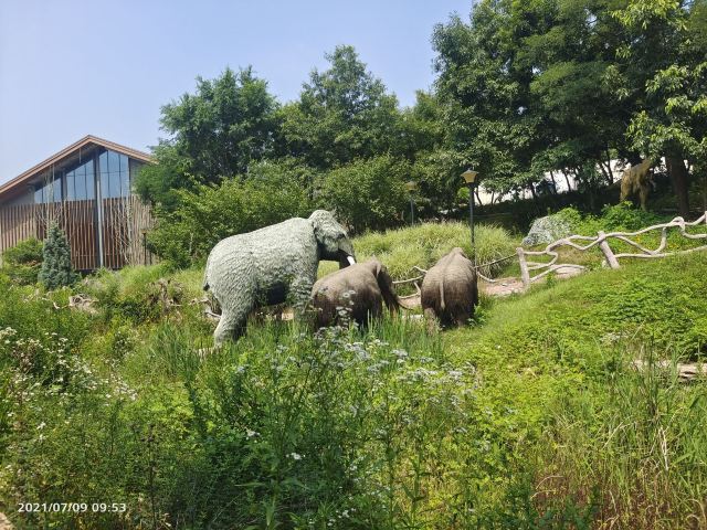 藏马山国际旅游度假区旅行图片 13