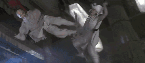 佛山游记图片] “佛山无影脚”是真的吗？游武术之乡，逛佛山祖庙