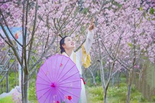 最是一年春好处!打卡清远英德英西峰林,樱花和桃花都开好啦!