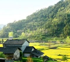 阜南游记图文-绿维文旅：就地城镇化是乡村振兴中最重大的课题