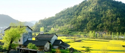 绿维文旅:就地城镇化是乡村振兴中最重大的课题