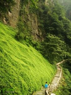 雷洞坪-峨眉山-老老倪