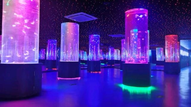 柳州动物园珊瑚科普馆