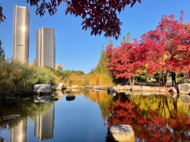 大望京公园旅行图片 1
