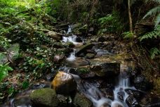 经律论文化旅游小镇-韶关-C-IMAGE