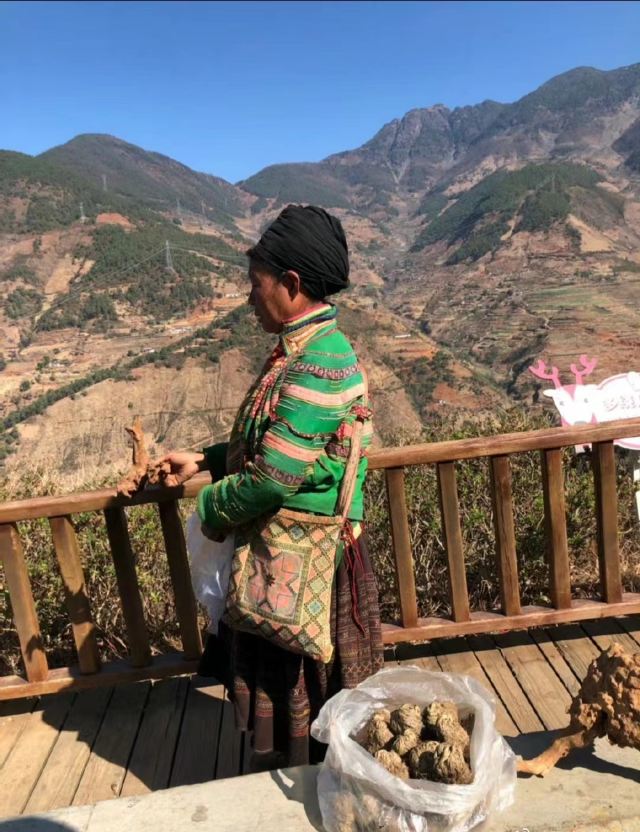 新山梯田旅行图片 2
