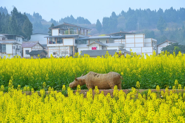 初春与四川的第一场约会,奇妙的打开方式竟从大英开始