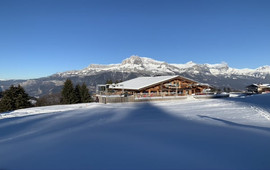 Chez Albert