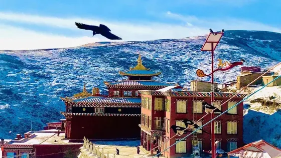 達科寺