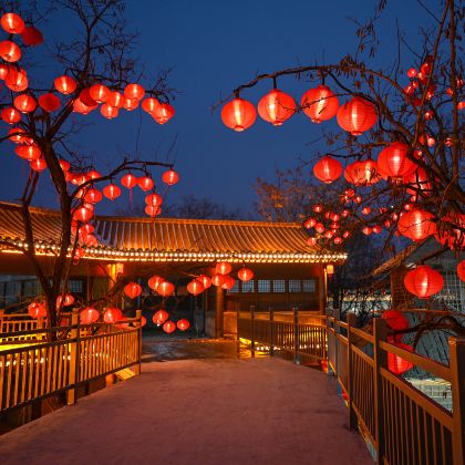 河南郑州+少林寺+开封包公祠+龙门石窟+云台山风景名胜区+万岁山武侠城+清明上河园+万仙山景区8日7晚跟团游