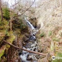 Ganllwyd图片