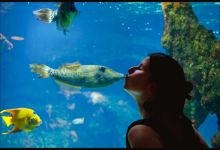 孔普旅游图片-拉罗谢尔一日游