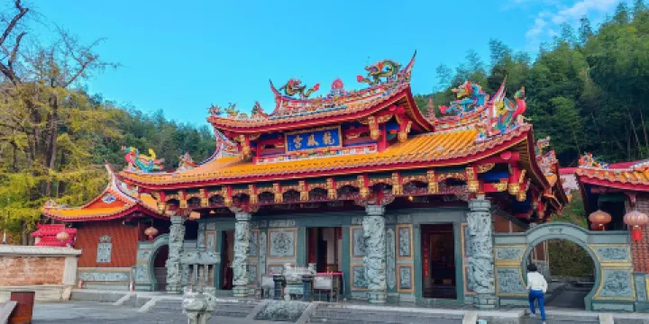 坪田銀杏森林公園-龍鳳宮