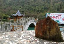 大王岭原始森林景点图片