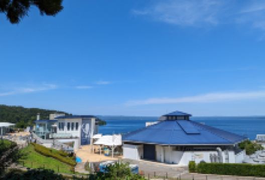 能登岛水族馆景点图片