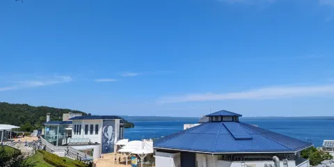 能登島水族館