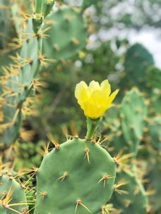 儋州千年古盐田-儋州-真诚7577