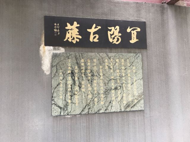 古藤园旅行图片 4