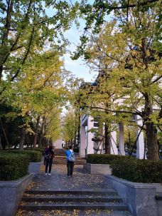 九华山大愿文化园-青阳-胖胖的minnie