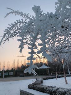 敕勒川公园-呼和浩特-YoYo_9L7F8U9J