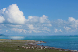 湟源游记图文-流浪，是天生的命运