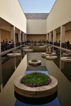 良渚博物院-杭州-雨中之苇