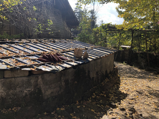 秋：在腾冲泡个温泉