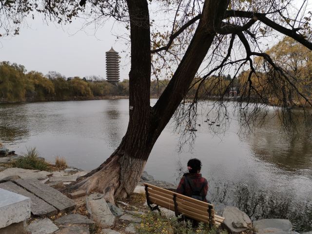 未名湖旅行图片 2
