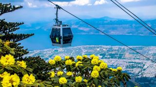 云南雨季来临，海拔3000米以上的苍山洗马潭杜鹃季，即将到来