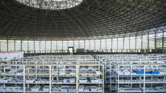 田螺山遺址現場館