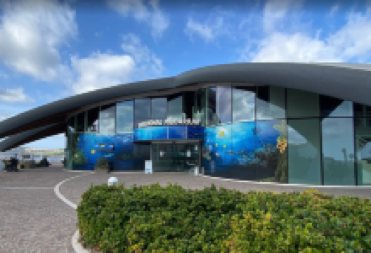 Malta TravelNet景点图片