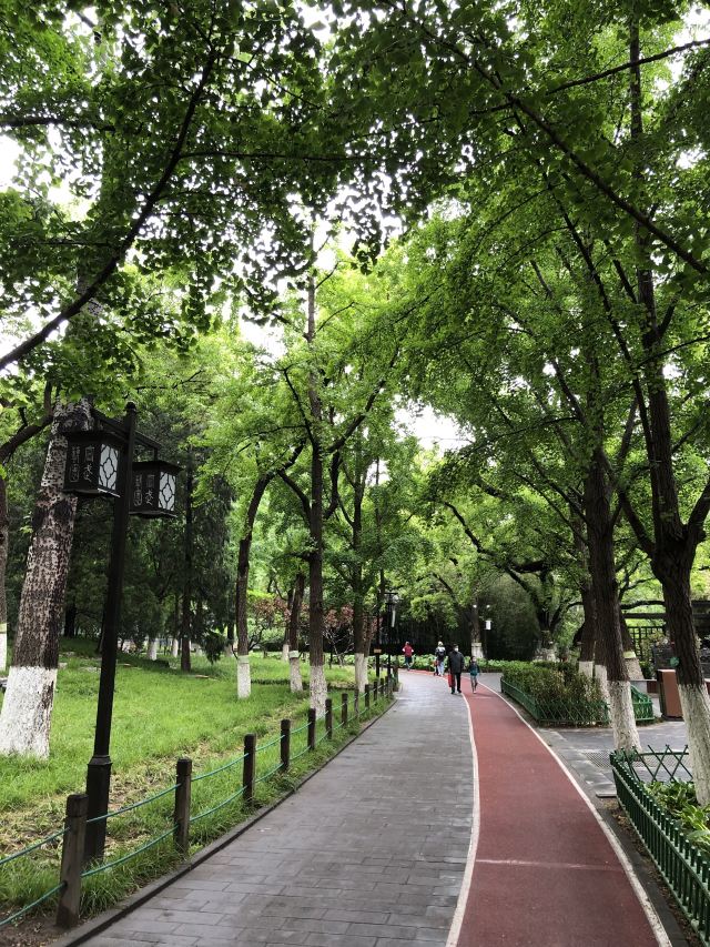 宣武艺园旅行图片 6