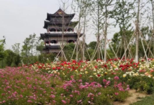 萌山公园景点图片