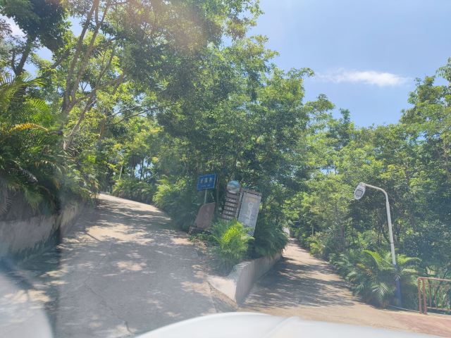 牙胡梯田景区旅行图片 4