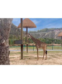 皋兰游记图片] 码住！让旅途不走弯路！抵达兰州野生动物园的几种路线，