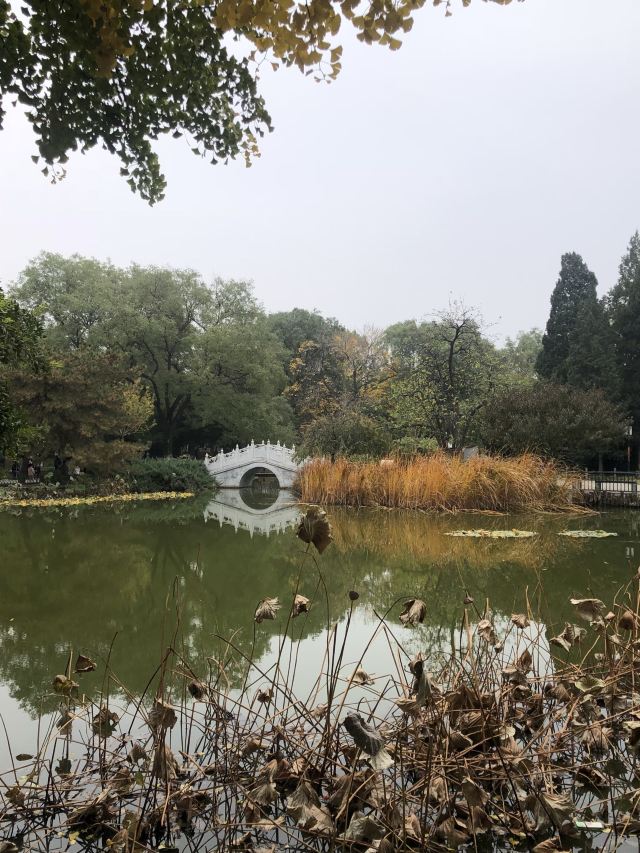 宣武艺园旅行图片 7